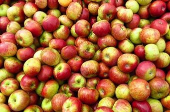Régime pomme pour perdre du poids.